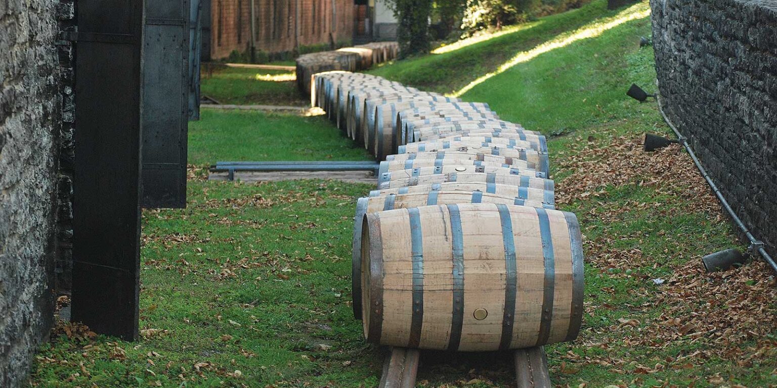 A row of barrels sitting on top of grass.